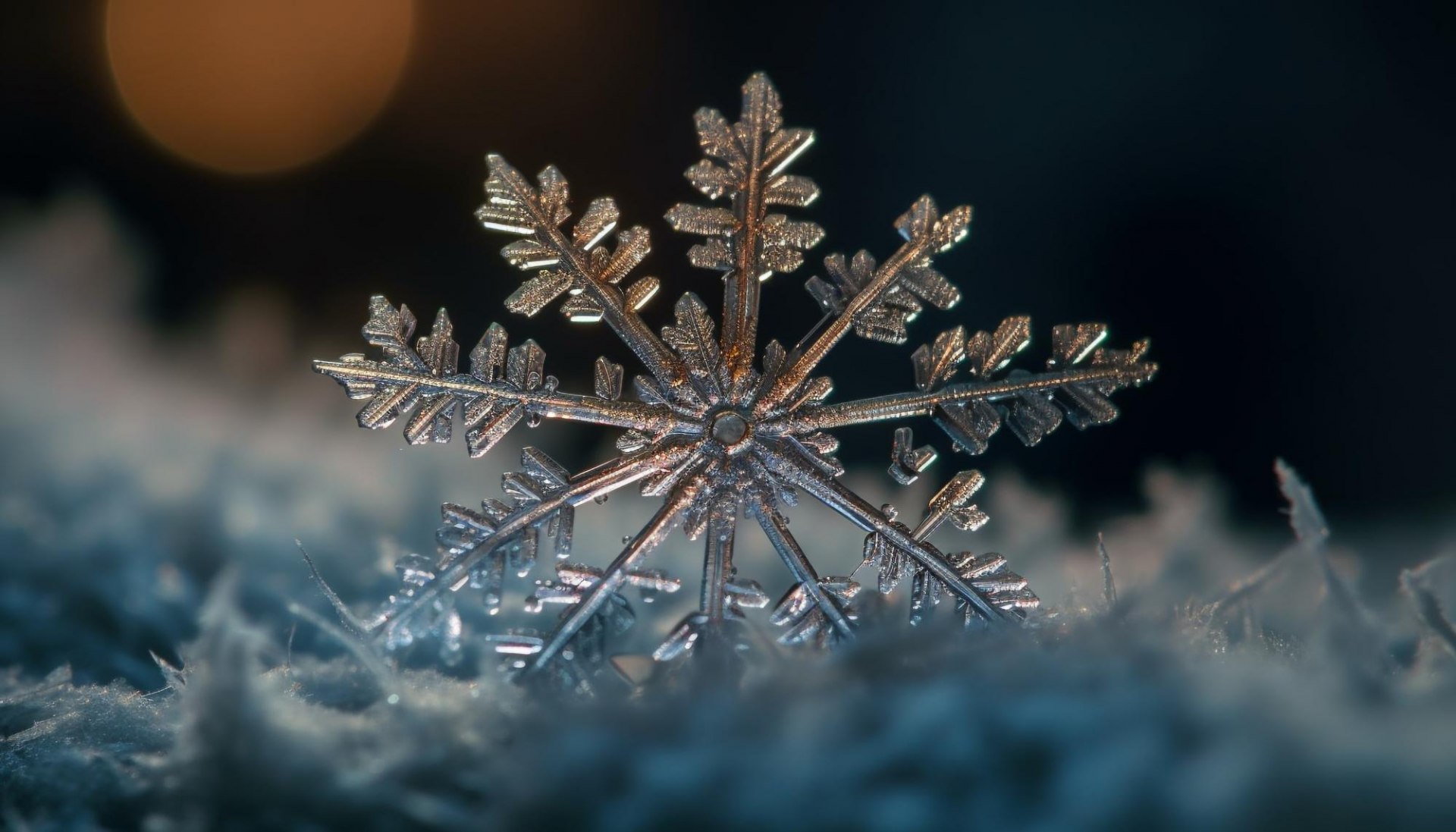 Do Snowflakes Really Have Unique Shapes, or Is That Just a Myth ...
