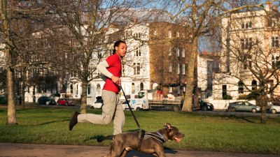 Why Every Dog Walk Is Just an Improvised Weather Experiment