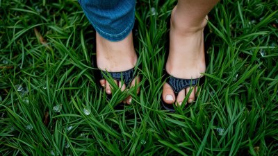 Why Wet Grass Has the Same Emotional Weight as a Breakup Text