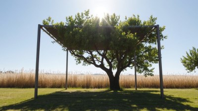 Why You Always Underestimate How Far Away the Shade Actually Is