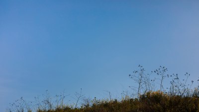 How to Interpret the Silent Judgement of a Cloudless Sky