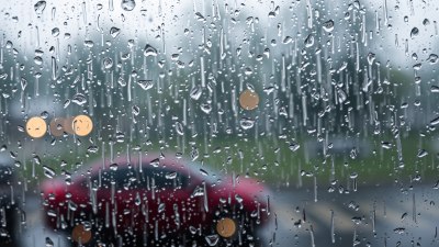 Why You Feel Personally Betrayed by Warm Rain