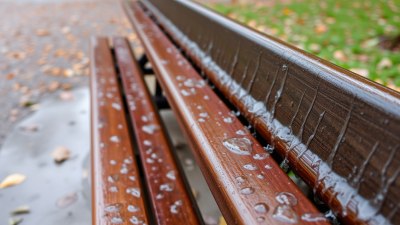 How to Mentally Prepare for Wet Chair Syndrome at the Park