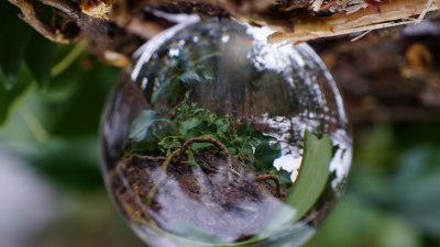 What Causes Microclimates in Small Areas