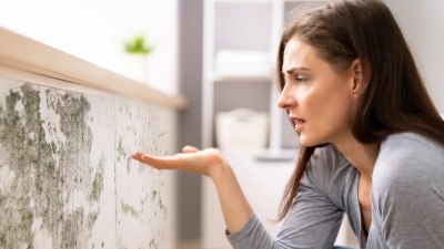 Why Humidity Changes Throughout the Day