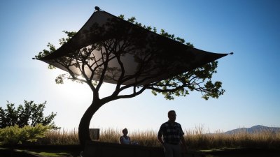 How Shared Shade Can Mean More Than Words