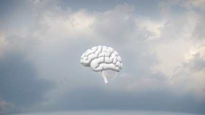 Why Your Brain Has a Favorite Kind of Weather (and It Knows It)