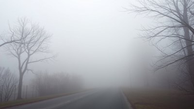 Why Fog Makes Everything Feel a Bit More Haunted and Deep