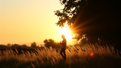 Why Late Afternoon Sun Is Basically Emotional Lighting