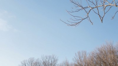 Why Cold Breezes Are Just Nature’s Way of Nudging You Into Reflection