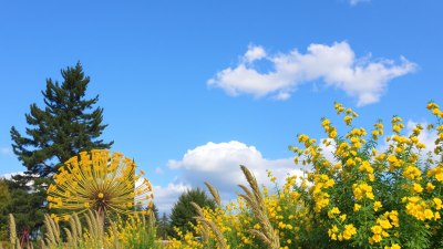 How You Can Be in a Good Mood Until the Sky Changes Its Mind
