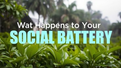 What Happens to Your Social Battery in Humid Air
