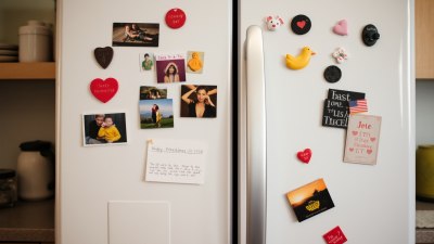 When the Fridge Door Becomes Your New Hangout Spot