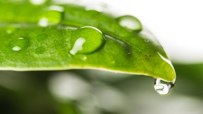 What Role Humidity Plays in Energy Transfer