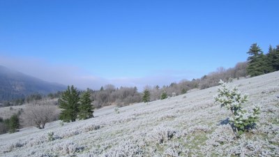 Why Frost Forms Earlier in Valleys