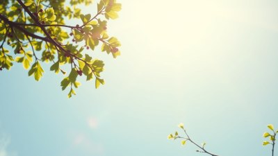 How a Clear Day Can Help Us Communicate Better
