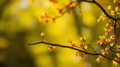 The Secret Connection Between Seasonal Warmth and Emotional Openness