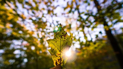 How Nature’s Forecast Encourages Human Optimism