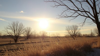 Why the First Warm Day After Cold Weather Feels So Powerful