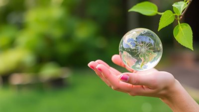 How Seasonal Shifts Help Us Reflect and Reconnect