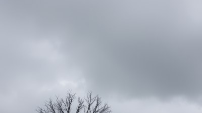 Why Some People Thrive in Overcast Peace
