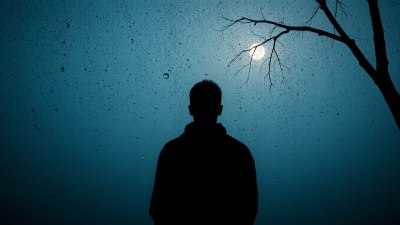 What the Humidity Is Plotting in the Shadows