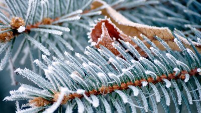 Some People Are Basically Walking Cold Fronts