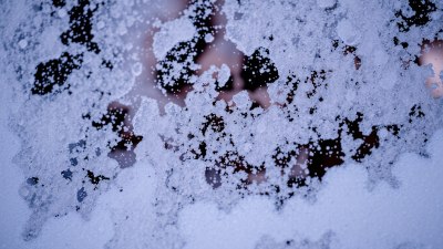 Some People Are Warm Layers. Others Are Just Drafts