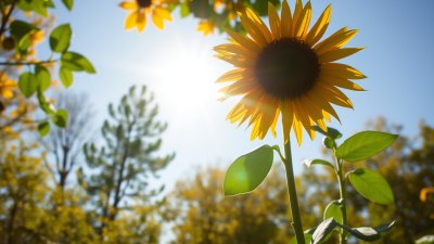 People Who Are All Sunshine Until November Hits