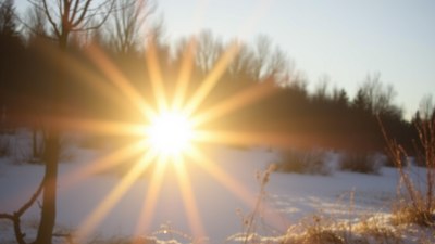 Why Empathy Feels Like the Warm Sun After a Week of Ice