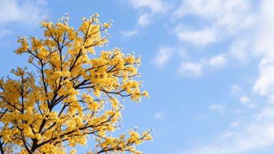 Why Seasonal Shifts Create Interpersonal Weather Alerts