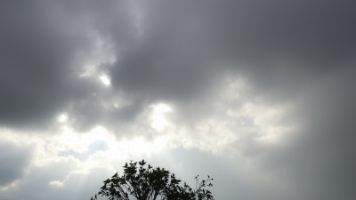 How to Be the Sunny Break in Someone’s Overcast Week