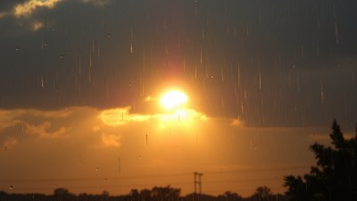 Why the Best People Are Like Morning Sun After a Heavy Rain