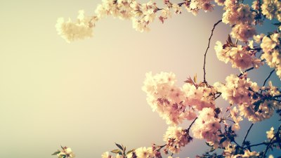 If They Feel Like False Spring, Believe Them