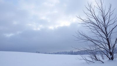 Some Connections Feel Like Calm Skies After an Emotional Blizzard