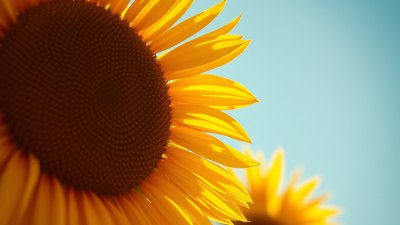 The Art of Being Someone's Unexpected Sunny Day