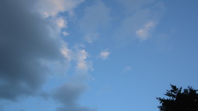 The Forecast Said Vibes, But It's Just Static Again