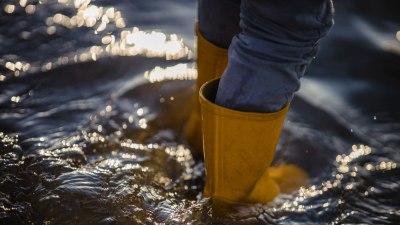 Avoid the Ones Who Feel Like Flash Floods of Attention