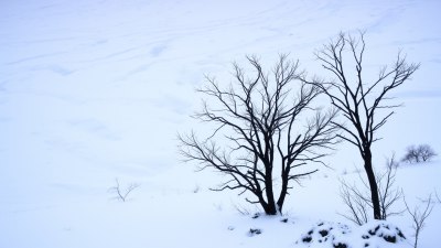 Cold Fronts Are the Ghosters of the Meteorological World