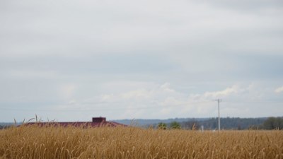 That Time the Wind Was the Office Gossip