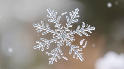 Snowflakes Are the Hipsters of Precipitation