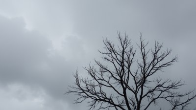 Overcast Days Are the Slow Burn Romance of Weather