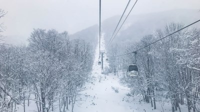 Blizzards Just Want to Cancel All Your Plans and Call It &ldquo;Balance&rdquo;