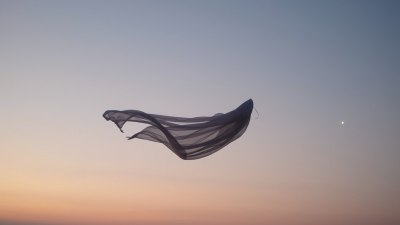 Evening Breeze Is That Date You Should&rsquo;ve Married