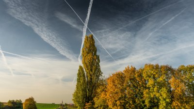 A Perfect 72 Degrees Is the People-Pleaser of Weather