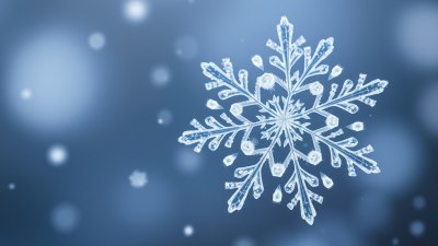 How a Snowflake Forms, Travels, Crystallizes, and Dies in Under 30 Seconds