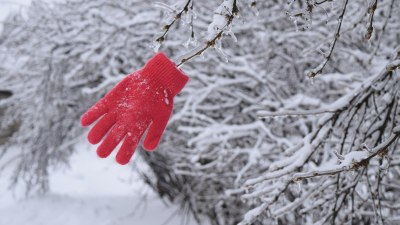 The Life Cycle of a Glove: Bought, Lost, Found, Lost Again