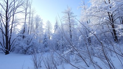 The Science of Winter Silence and Sudden Slipping
