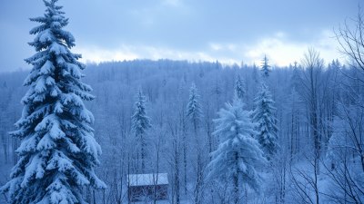Why Cold Air Feels Heavier Than It Is