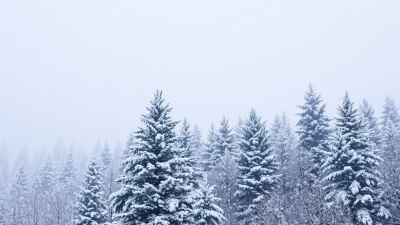 Why Snow Refuses to Fall Evenly